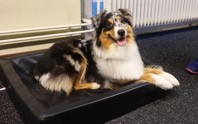 Ta med bädden då du ska bort!